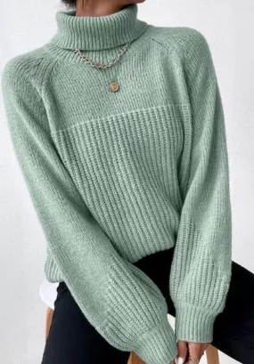 Knit Turtleneck Sweater