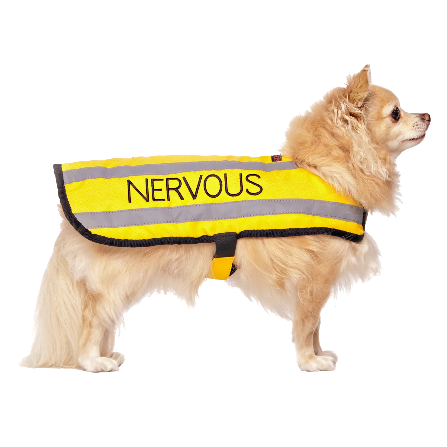 NERVOUS - Small Coat