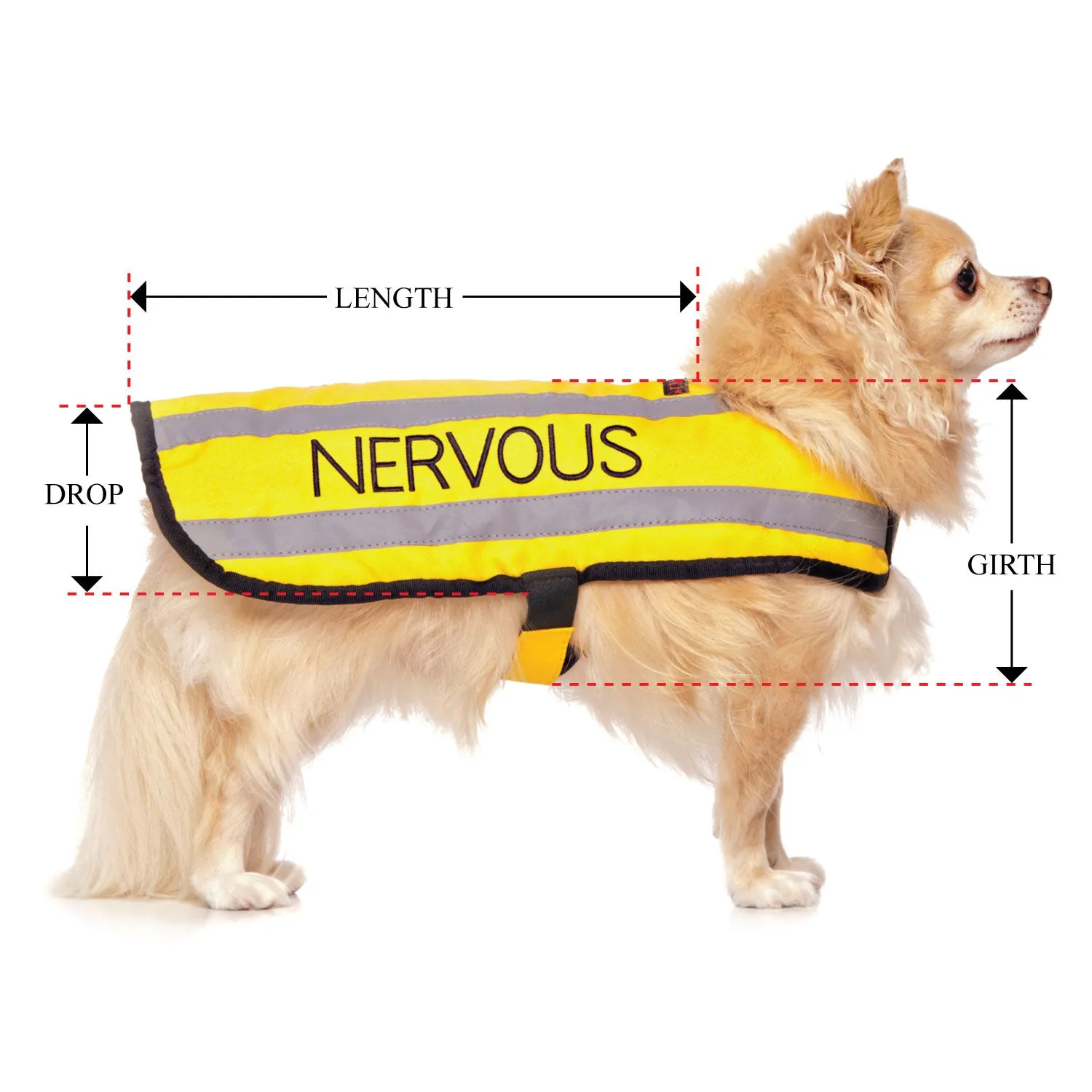 NERVOUS - Small Coat