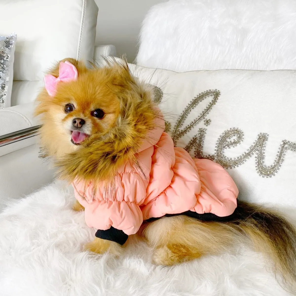 Pawcler Jacket